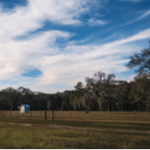 The farm’s production practices leave open space for wildlife from its setting near the Okefenokee National Wildlife Refuge