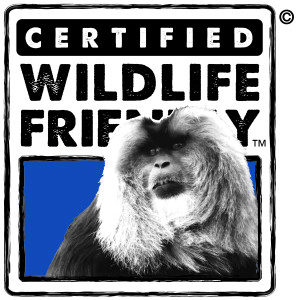 Certified Wildlife Friendly - Lion Tailed Macaque_Color_Lion Tail Macaque