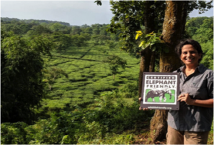 Nuxalbari Tea Estate owner Sonia Jabbar with the new Certified Elephant Friendly™ farm sign at her 1200 acre tea plantation. Photo credit: Nuxalbari Tea Estate